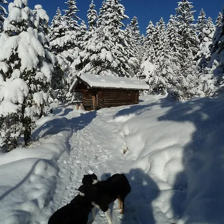 Bed and breakfast Karner 3*